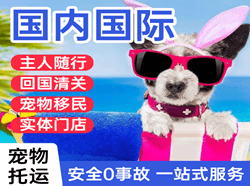 张家界荷花航空货运国际宠物托运 【国